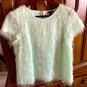 Ann Taylor mint green short sleeve sweater